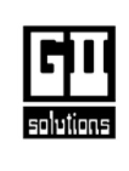 G II SOLUTIONS INC - DTS-33-0973