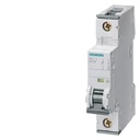 SIEMENS - 5SY6102-7