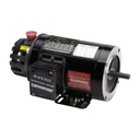 MARATHON MOTORS - 056H17T5301